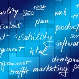 software development