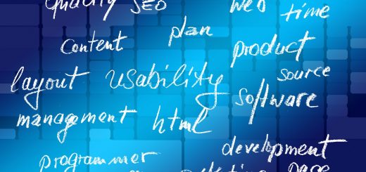 software development